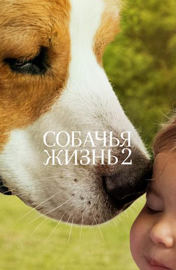 Фильм Собачья жизнь 2 2019 смотреть онлайн в FHD качестве